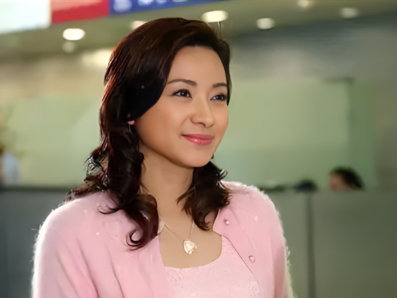 王美雪演过的电视剧