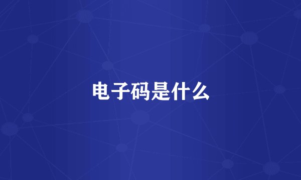 电子码是什么