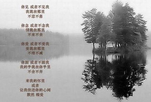 “你在或者不在，我都在这里，不悲不喜。”出自哪里？