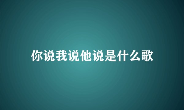 你说我说他说是什么歌