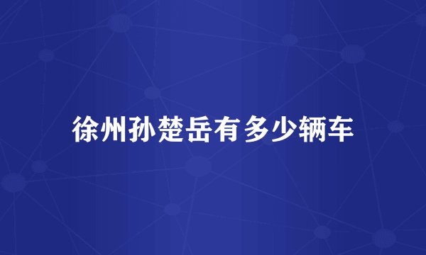 徐州孙楚岳有多少辆车