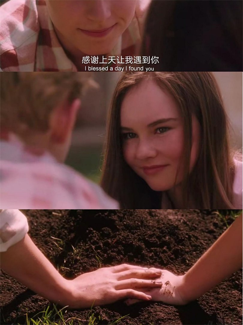 “斯人若彩虹，遇上方知有”什么意思？