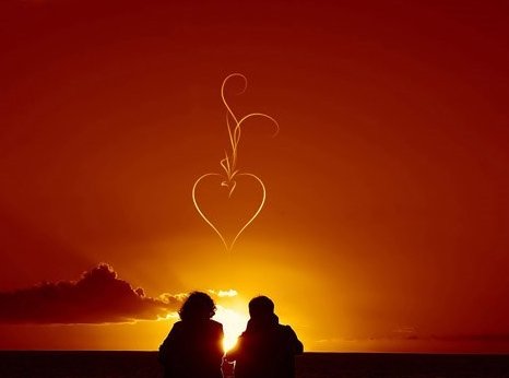 衣服上有426什么意思