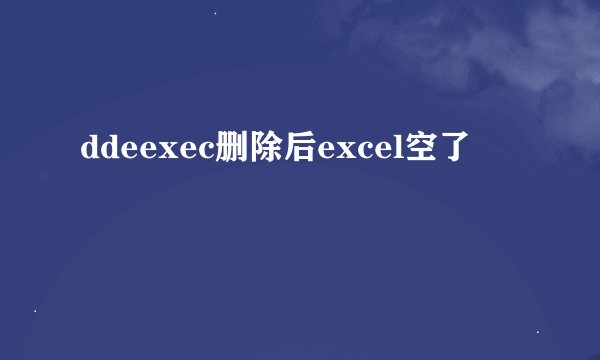 ddeexec删除后excel空了
