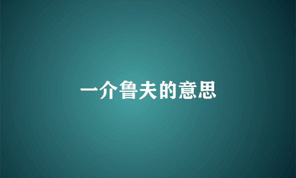 一介鲁夫的意思