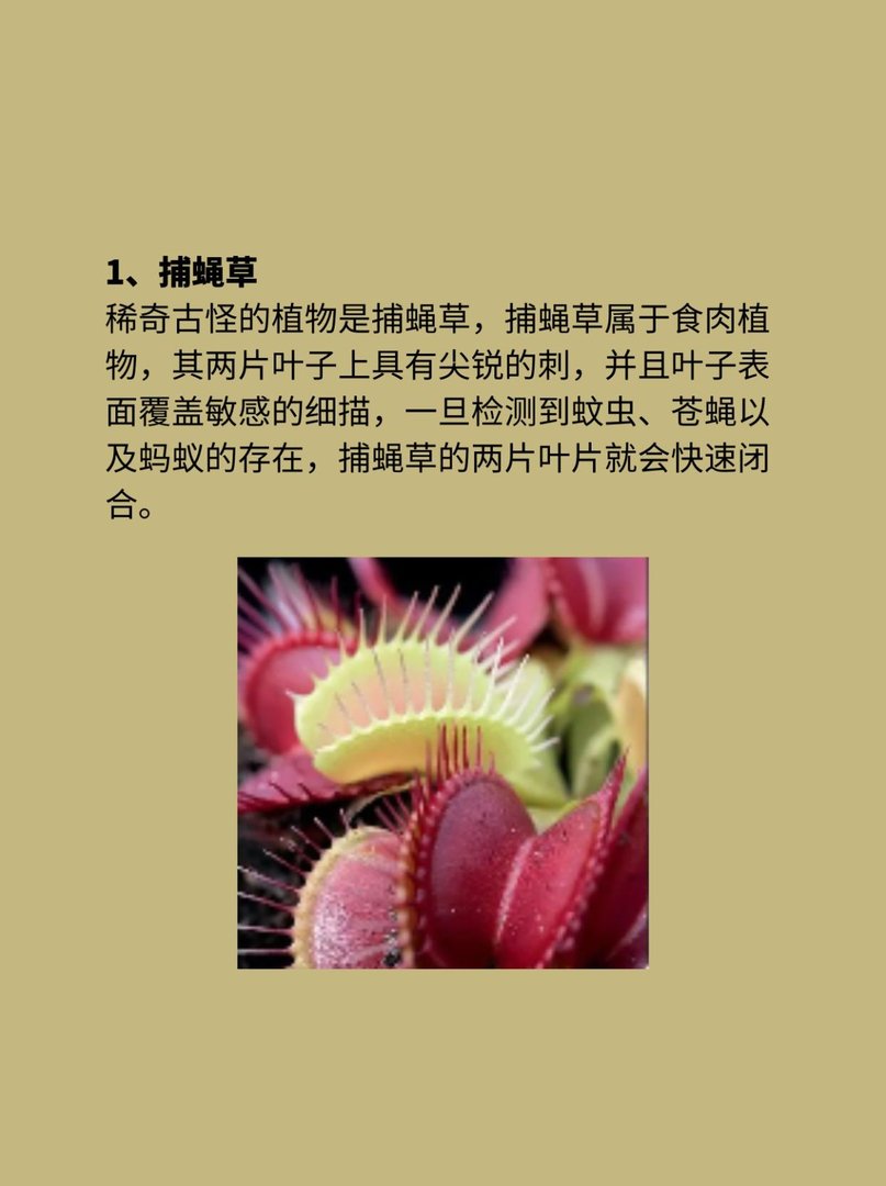 稀奇古怪的植物科普