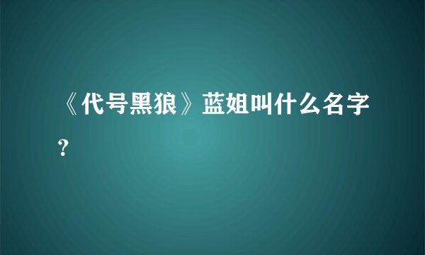 《代号黑狼》蓝姐叫什么名字？