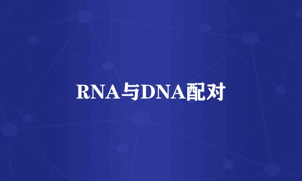 RNA与DNA配对