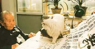 繁星全文有哪些?