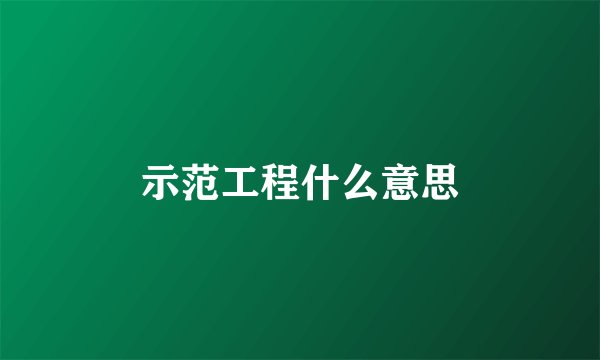 示范工程什么意思