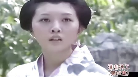 潜龙特工的介绍