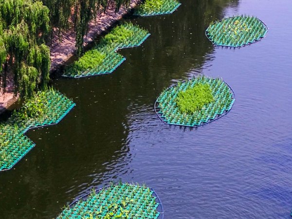 生态浮岛及其设计详解