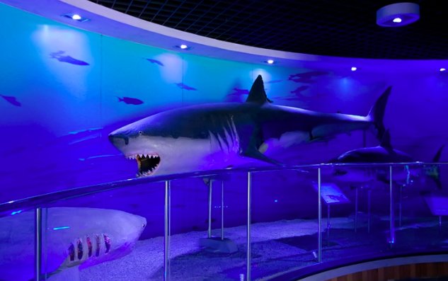 4月16日蚂蚁海洋答案：考考你我国最早的水族馆位于？