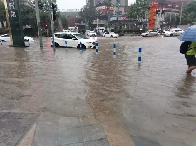 重庆暴雨袭城:大蛇被冲到马路,暴雨给市民造成了哪些影响?