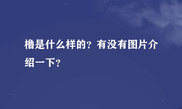 橹是什么样的？有没有图片介绍一下？