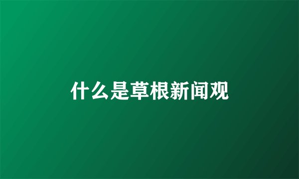 什么是草根新闻观