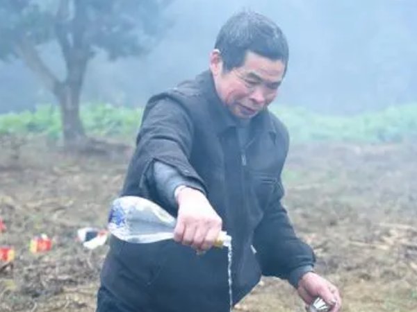 一坟管三代是哪三代