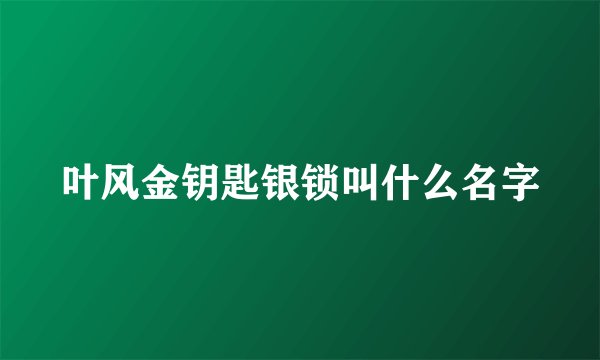 叶风金钥匙银锁叫什么名字