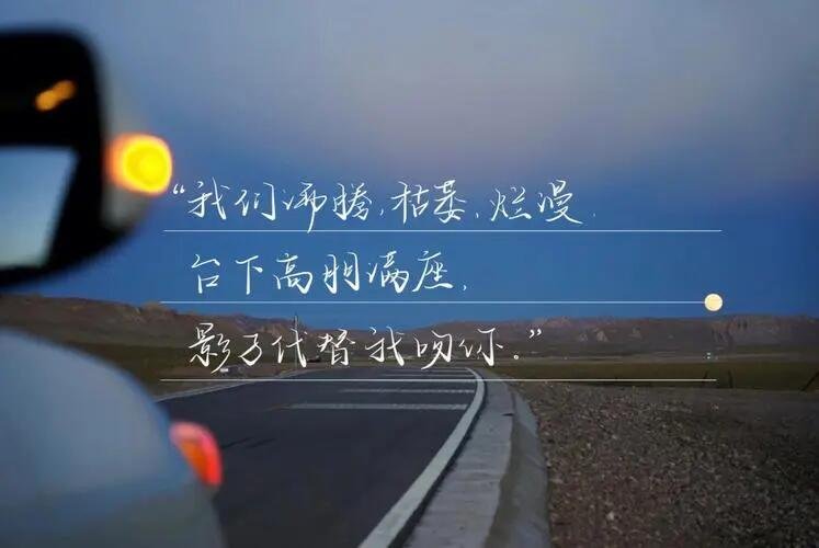 高朋满座指什么生肖