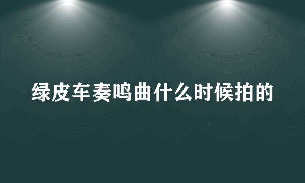 绿皮车奏鸣曲什么时候拍的