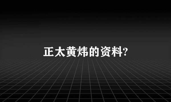 正太黄炜的资料?
