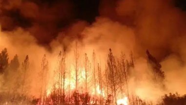 美国10个州87场大火正在燃烧，起火点都遍布在了哪里？