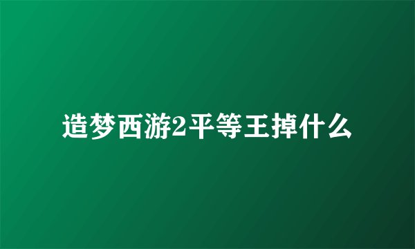 造梦西游2平等王掉什么