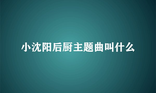 小沈阳后厨主题曲叫什么