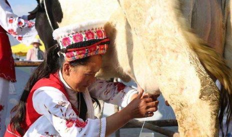 情侣之间挤牛奶是什么意思