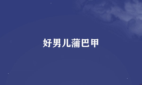 好男儿蒲巴甲
