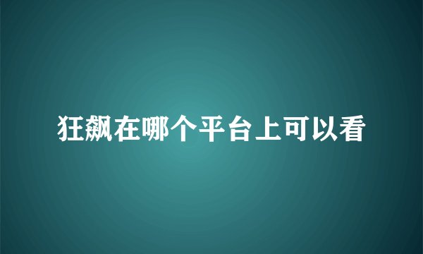 狂飙在哪个平台上可以看