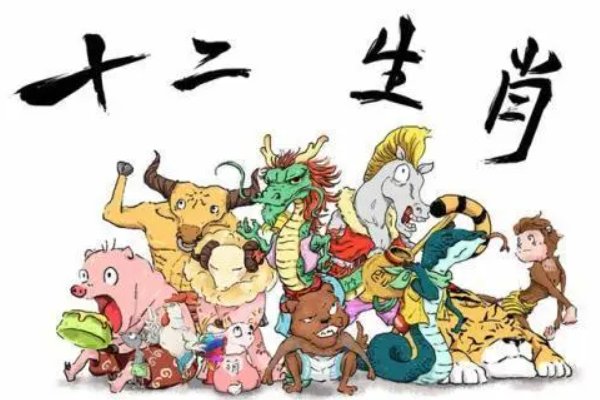 四目相对指一生肖