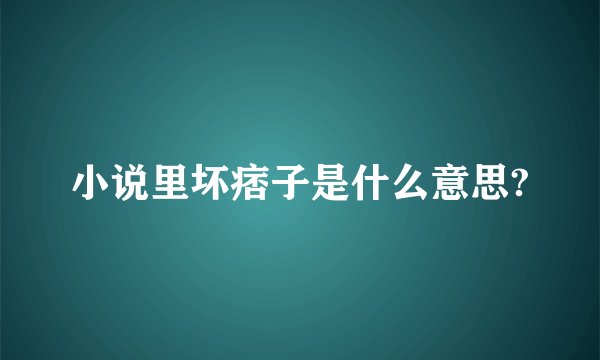 小说里坏痞子是什么意思?