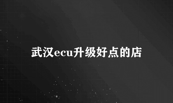 武汉ecu升级好点的店