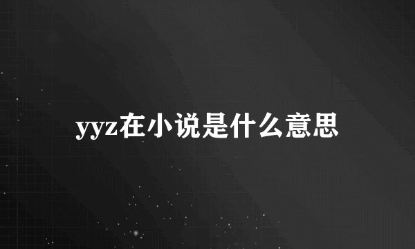 yyz在小说是什么意思