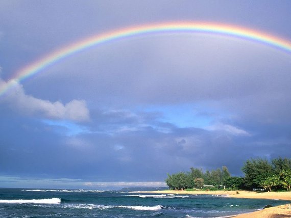 彩虹顶部什么颜色