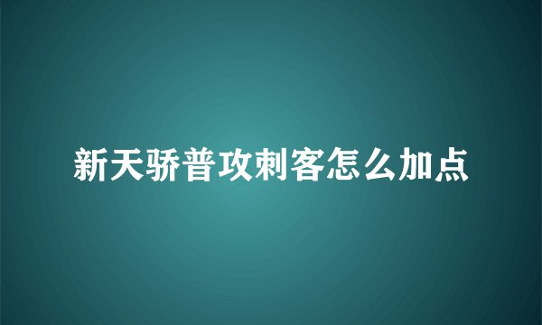新天骄普攻刺客怎么加点