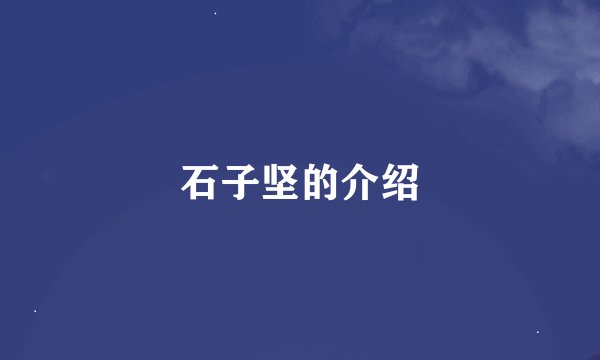 石子坚的介绍