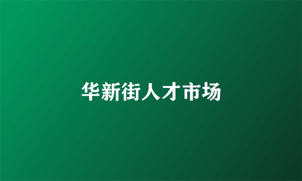 华新街人才市场