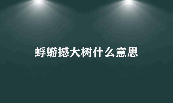 蜉蝣撼大树什么意思