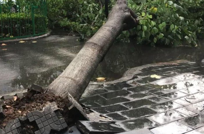 河南开封发布停工停业紧急通知,这其中的缘由是什么?