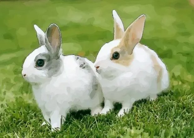 四踢奔奔打一生肖