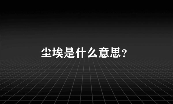 尘埃是什么意思？