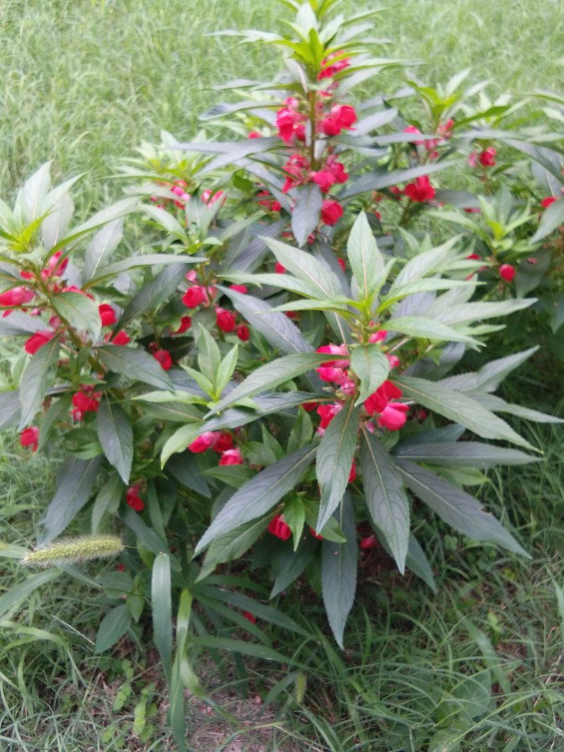 为什么人总是喜欢在睡前幻想一些东西？