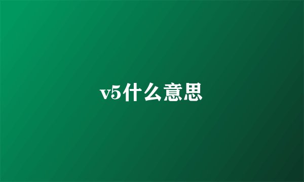 v5什么意思
