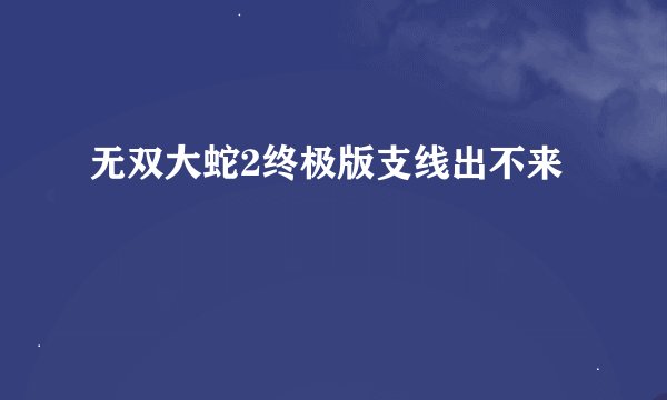 无双大蛇2终极版支线出不来