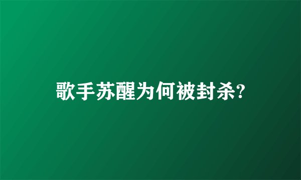 歌手苏醒为何被封杀?