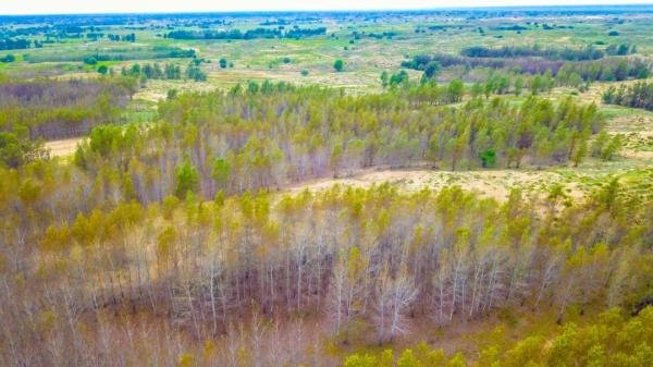 中国的“三北”防护林体系建设工程，为何被誉为中国的绿色万里长城？