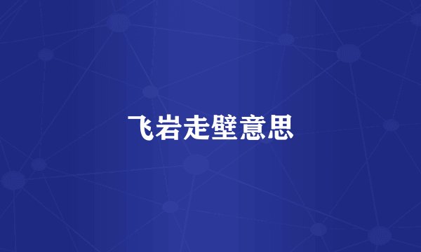 飞岩走壁意思