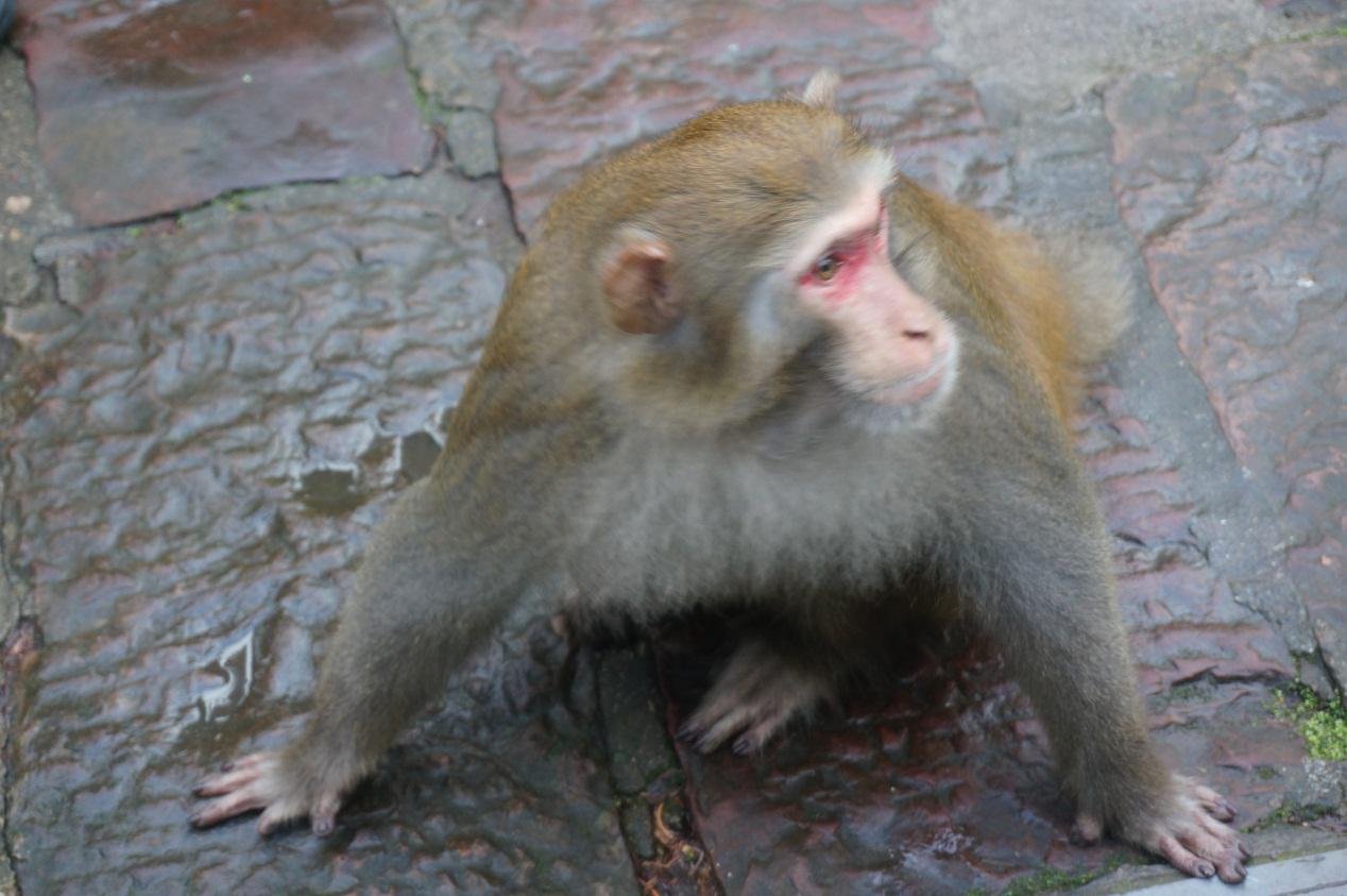 武汉浙科技术有限公司的公司简介